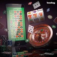 bdwin24